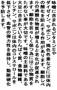 ���X�Ɋ܂܂��r�^�~���d��_�C�[�C���A�T�|�j���A���F�F�f�� �ǂɂ͑̓��̎_����h�~�����p������܂��B�זE�� �x���̉ߎ_��������������� �V�������i����܂��B�זE����X�����ۂׂɂ͂��̕����� ���߂Ȃ�������؂ł��B���X�̎匴���ł���哤�Ɋ܂܂�Ă��� ����ς����A�H���@�ہA���V�`���A�T�|�j���͑̓��̃R���X�e���[�� ��ቺ�����A���ǂ̒e�͐���ێ����A�����d����\�h���܂��B 