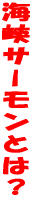 �C���T�[�����Ƃ́H 