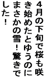 �S���̉��{�ō����炫�n�߂��Ƃ䂤�̂ɂ܂����� ��I�����ł����I 