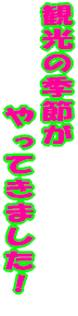 �ό��Ƀs�b�^���ȋG�߂ł��I 