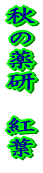 �H�̖򌤁@�g�t 