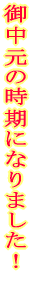 �䒆���̎����ɂȂ�܂����I 
