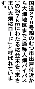 ���Ԓ��͂悳�����\�[�����A�̗w�V���[�A�`�����e�B�J���I�P�̂ǎ��� �Ȃǂ��J�Â���܂��B 