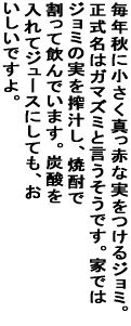���N�H�ɏ������^���ԂȎ���������W���~�B �������̓K�}�Y�~�ƌ��������ł��B �Ƃł̓W���~�̎�����`���A�Ē��Ŋ����Ĉ���ł��܂��B �Y�_�����ăW���[�X�ɂ��Ă��A���������ł���B 