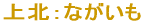 上北：ながいも 